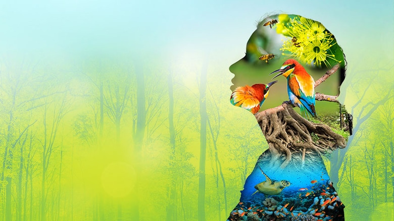 Speaker Sandhwan calls for conservation of natural resources on the occasion of World Environment Day