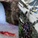 Amarnath Yatra 2023: Air service from Srinagar and Jammu at night for the convenience of passengers