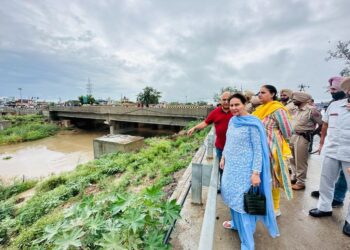 Preneet Kaur takes stock of rain affected areas of Patiala