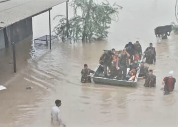 Breach in Ghaggar causes flood in Sangrur district; water level in Badi Nadi in Patiala goes down