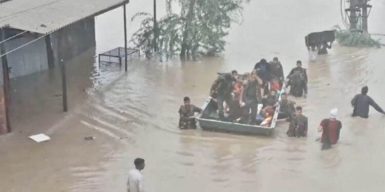 Breach in Ghaggar causes flood in Sangrur district; water level in Badi Nadi in Patiala goes down