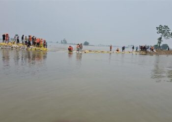 Punjab flood catastrophe: ‘Where is the government, leaders only coming to click photos for social media’; anger grows as flood situation worsens