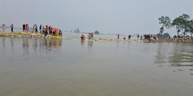 Punjab flood catastrophe: ‘Where is the government, leaders only coming to click photos for social media’; anger grows as flood situation worsens