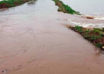Monsoon fury: Low-lying areas in districts of Haryana struggle with waterlogging