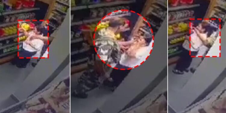 On camera, BSF jawan seen molesting local woman in Manipur grocery store, suspended