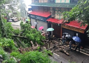 Red alert in Himachal Pradesh for 2 days: Zero visibility, heavy downpour, lightning as Shimla witnesses another terrifying night