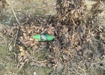 BSF seizes bottle containing 1.3 kg drugs near border in Tarn Taran sector