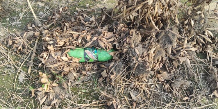 BSF seizes bottle containing 1.3 kg drugs near border in Tarn Taran sector