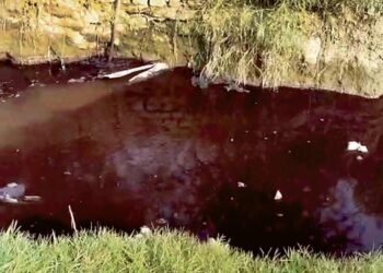 Units dump untreated waste into Faridabad drains as authorities ‘sleep’