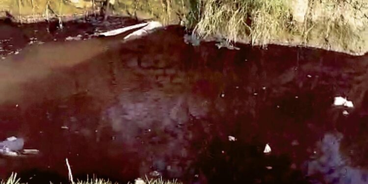 Units dump untreated waste into Faridabad drains as authorities ‘sleep’