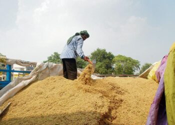Rice exporters suspend strike, basmati purchase begins today