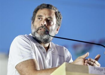 Rahul Gandhi: Sonia Gandhi helped create Telangana
