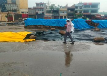 Heavy rain in Punjab, Haryana, Chandigarh leaves farmers worried