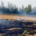 In 19 days, Palwal witnesses 27 farm fires