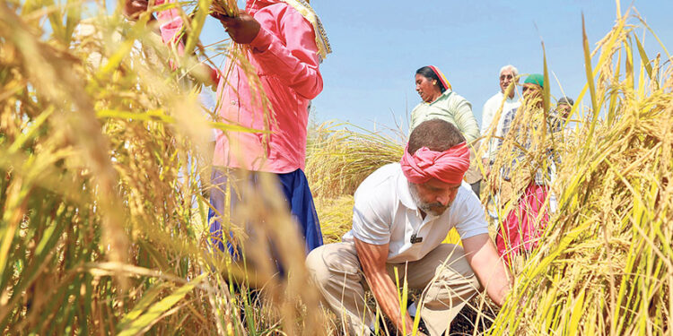 Treatment of the poor up to 10 lakh rupees will be free if the Congress government is formed: Rahul