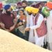 CM FORMALLY KICKSTARTS PADDY PROCUREMENT OPERATIONS FROM CHAMKAUR SAHIB