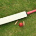 The match between India and Afghanistan today