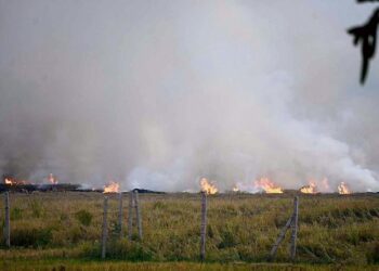 Low wind speed adding to Punjab’s farm fire crisis