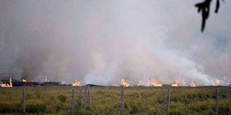 Low wind speed adding to Punjab’s farm fire crisis