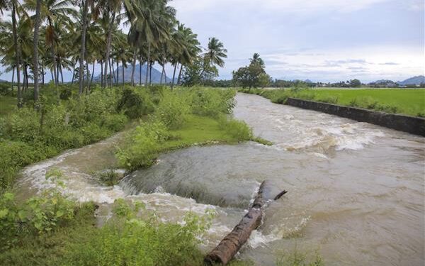 Efforts on to rescue 800 stranded passengers as Tamil Nadu battles with floods; Army pitches in