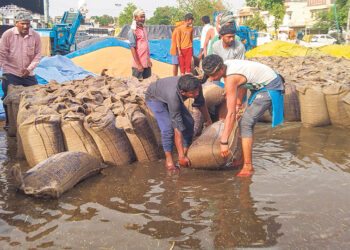 Heavy crop loss in Punjab due to gusts and hail
