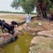 South-western Punjab’s tail-end farmers struggle with extreme water scarcity.