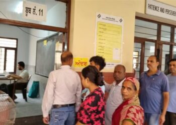 Live updates on the Jalandhar West Assembly bypoll show a 23.4% voter turnout as of 11 am.