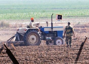 Compensation for Punjab farmers is a struggle amidst border disputes and official neglect