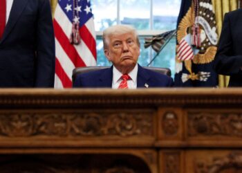 US President Trump advised Apple CEO Tim Cook against establishing operations in India.