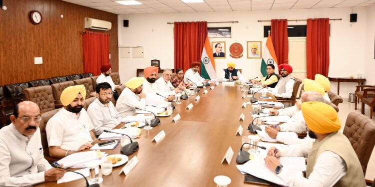 Big relief to Punjab’s industry as Cabinet approves industrial plot conversion