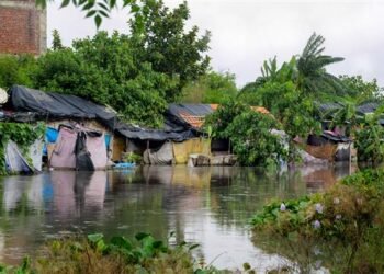 भाजपा प्रतिनिधिमंडल बाढ़ के मुद्दे पर राज्यपाल से मिला, किसानों के लिए मांगा मुआवजा