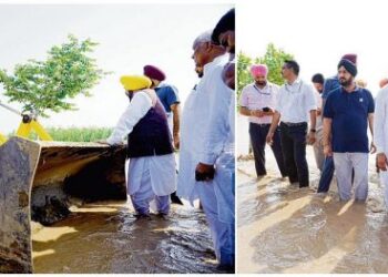 जमीनी हकीकत जानने खुद बाढ़ के पानी में उतरे भगवंत मान