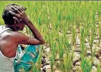 मणिपुर हिंसा के कारण खेती बुरी तरह प्रभावित, राज्य के लोगों को दो जून की रोटी नसीब होना होगा भारी