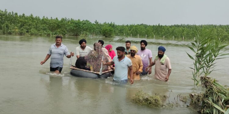 भाखड़ा, पौंग डैम से छोड़ा पानी ; पंजाब के कई गांवों में बाढ़