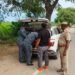 जी-20 सम्मेलन: असामाजिक तत्वों पर नजऱ रखने के लिए पंजाब पुलिस ने चार राज्यों और यूटी चंडीगढ़ के साथ मिलकर ‘ओपीएस सील-4’ चलाया  