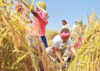 कांग्रेस सरकार बनी तो गरीबों का 10 लाख रुपये तक का इलाज मुफ्त होगा: राहुल