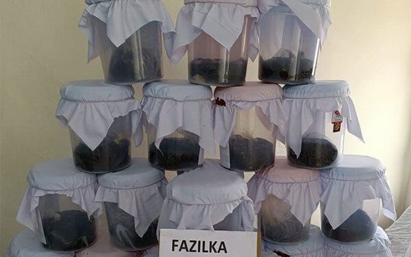 झारखंड से तस्करी के आरोप में दो लोग गिरफ्तार