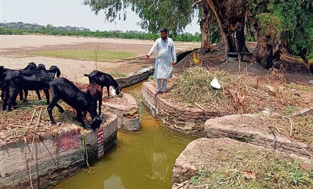 दक्षिण-पश्चिमी पंजाब में पानी की भारी कमी से जूझ रहे किसान
