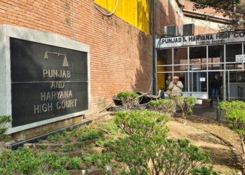 उच्च न्यायालय का पैनल पंजाब की जेलों में तस्करी गतिविधियों से संबंधित एनडीपीएस अधिनियम से संबंधित मामलों की जांच करेगा।