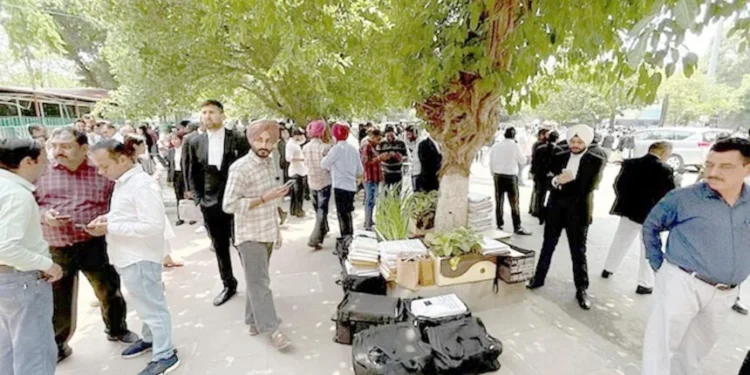 पंजाब और हरियाणा हाईकोर्ट को बम से उड़ाने की धमकी मिली।