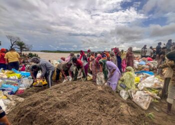 भाखड़ा बांध का जलस्तर कम हो गया है।
