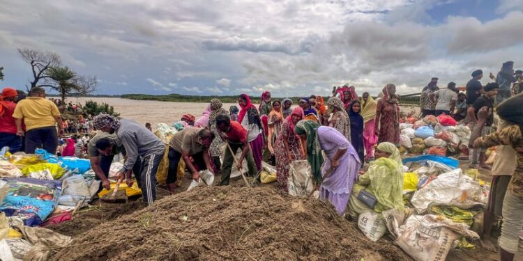 भाखड़ा बांध का जलस्तर कम हो गया है।