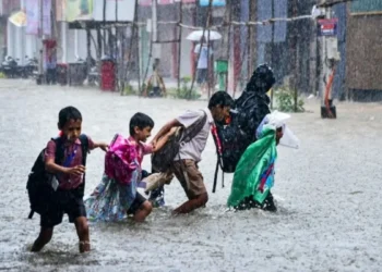 चक्रवात दित्वा का कहर