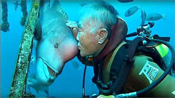 दोस्ती एक एेसा एहसास: मछली सालों से है इस शख्स की Best Friend