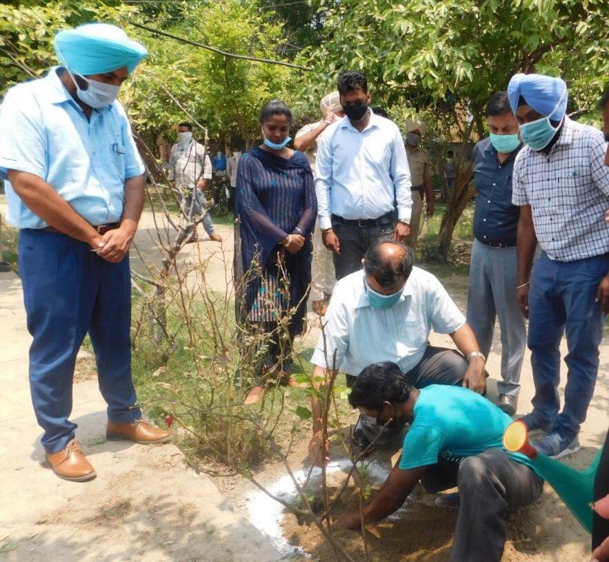 ਵਿਸ਼ਵ ਵਾਤਾਵਰਨ ਦਿਵਸ ਮੌਕੇ ਡਿਪਟੀ ਕਮਿਸ਼ਨਰ ਵੱਲੋਂ ਪੌਦਾ ਲਾ ਕੇ ਮੁਹਿੰਮ ਦਾ ਆਗਾਜ਼