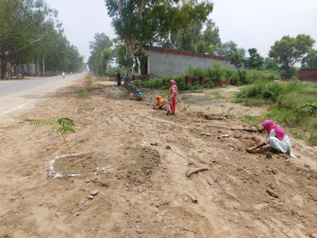 ਛਾਂ ਦਾਰ ਪੌਦਿਆਂ ਦੇ ਨਾਲ ਨਾਲ ਫ਼ਲਦਾਰ ਪੌਦੇ ਵੀ ਲਾਏ ਜਾਣਗੇ: ਡਿਪਟੀ ਕਮਿਸ਼ਨਰ