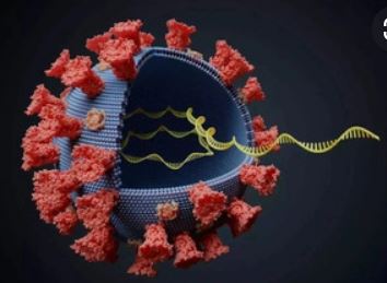 कोरोना का नए वेरिएंट B.1.1.529 :  फिर दुनियाभर में लॉकडाउन की आहट ; कोरोना के नए वेरिएंट का खौफ, एक दिन में निवेशकों के डूब गए 7 लाख करोड़ रुपए