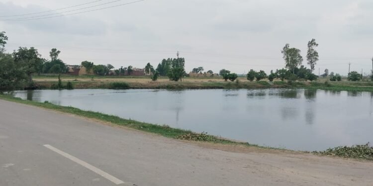 ਛੱਪੜ ਦੁਆਲੇ ਚਾਰ ਦੀਵਾਰੀ ਨਾ ਹੋਣ ਕਰਕੇ ਹਾਦਸਾ ਹੋ ਸਕਦਾ ਹੈ