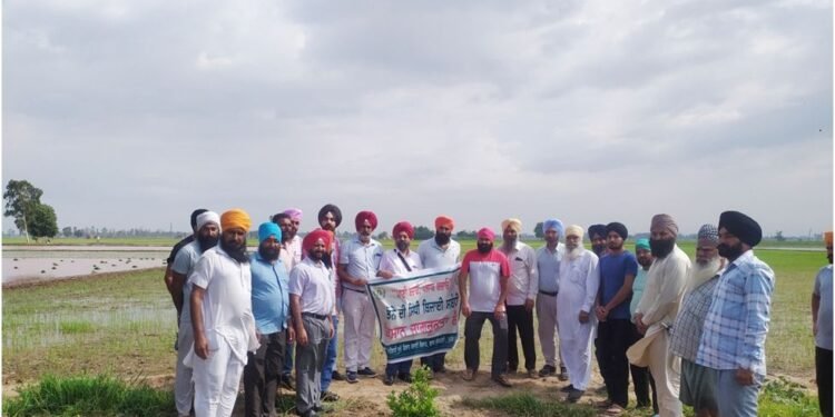 ਖੇਤੀਬਾੜੀ ਅਤੇ ਕਿਸਾਨ ਭਲਾਈ ਵਿਭਾਗ ਨੇ ਝੋਨੇ ਦੀ ਸਿੱਧੀ ਬਿਜਾਈ ਲਈ ਕਿਸਾਨਾਂ ਨੂੰ ਕੀਤਾ ਜਾਗਰੂਕ