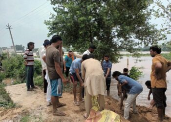 ਰੰਗੋਈ ਨਾਲੇ ਦਾ ਟੁੱਟਿਆ ਬੰਨ੍ਹ ਲੋਕਾਂ ਨੇ ਪੂਰਿਆ ਪਰ ਖ਼ਤਰਾ ਬਰਕਰਾਰ